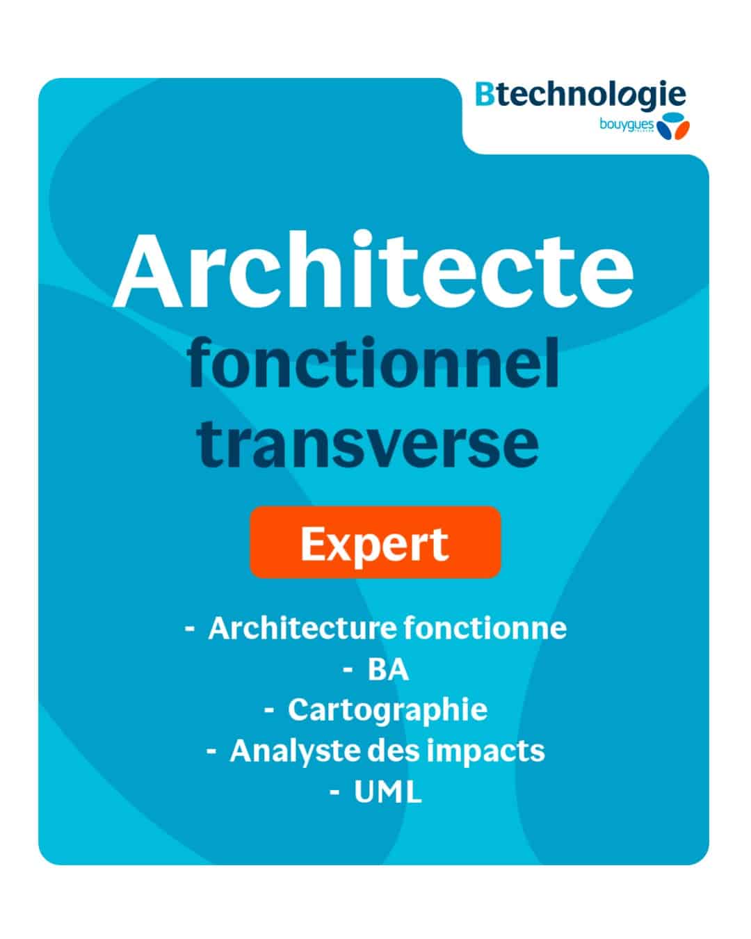 BTechnologie recrute Architecte Fonctionnel Transverse